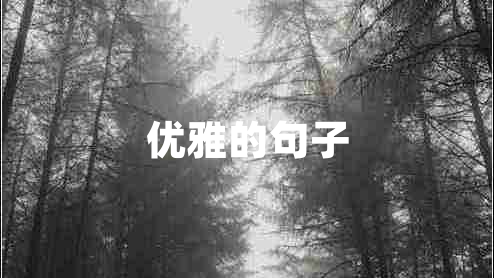 优雅的句子