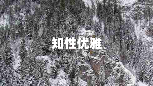 知性优雅 知性优雅
