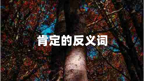 肯定的反义词