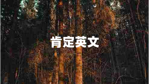 肯定英文 肯定英文