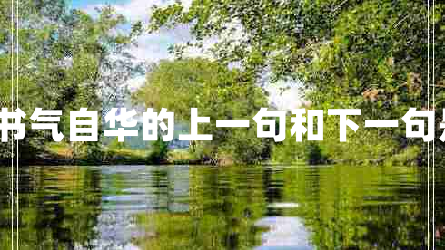 腹有诗书气自华的上一句和下一句是什么?