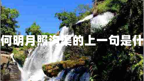 奈何明月照沟渠的上一句是什么