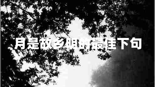 月是故乡明的最佳下句