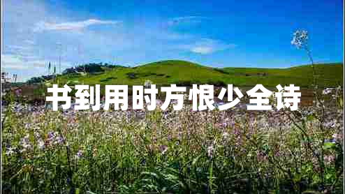 书到用时方恨少全诗
