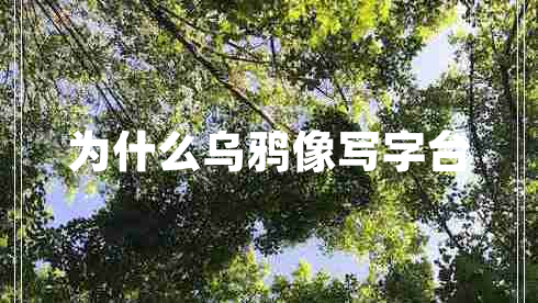 为什么乌鸦像写字台