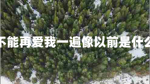 能不能再爱我一遍像以前是什么歌 能不能再爱我一遍像以前是什么歌