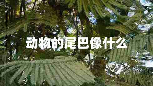 动物的尾巴像什么 动物的尾巴像什么