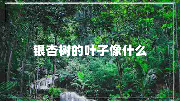 银杏树的叶子像什么