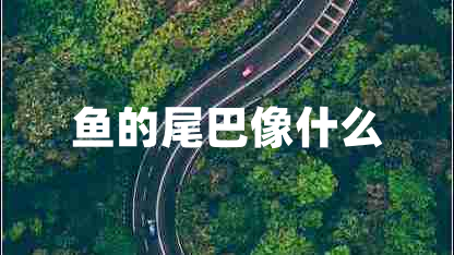 鱼的尾巴像什么