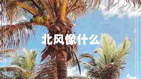 北风像什么
