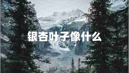 银杏叶子像什么