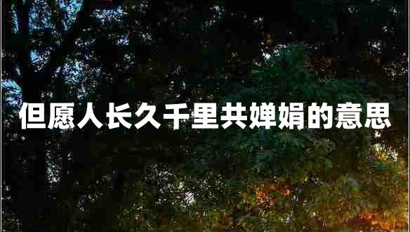 但愿人长久千里共婵娟的意思
