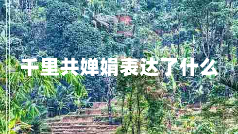 千里共婵娟表达了什么