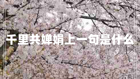 千里共婵娟上一句是什么 千里共婵娟上一句是什么