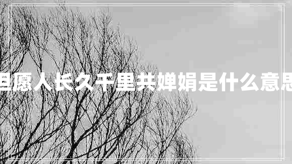 但愿人长久千里共婵娟是什么意思