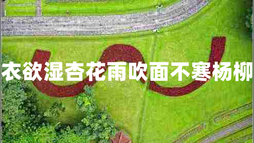 沾衣欲湿杏花雨吹面不寒杨柳风