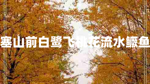 西塞山前白鹭飞桃花流水鳜鱼肥