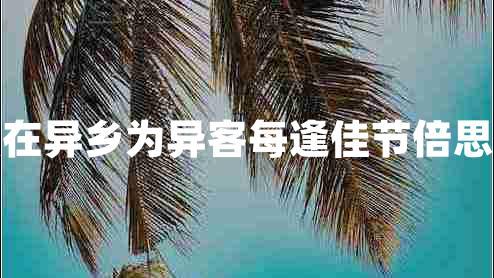 独在异乡为异客每逢佳节倍思亲