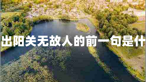西出阳关无故人的前一句是什么