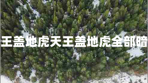 天王盖地虎天王盖地虎全部暗号