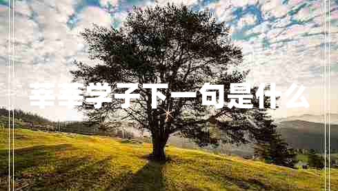 莘莘学子下一句是什么