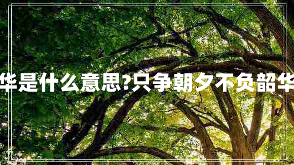 不负韶华是什么意思?只争朝夕不负韶华的意思