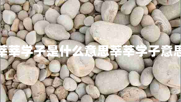 莘莘学子是什么意思莘莘学子意思