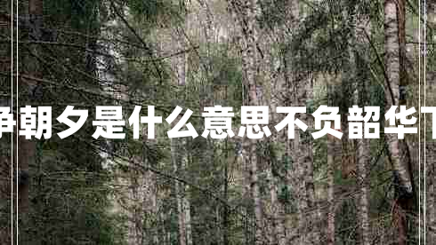 不负韶华只争朝夕是什么意思不负韶华下一句是什么