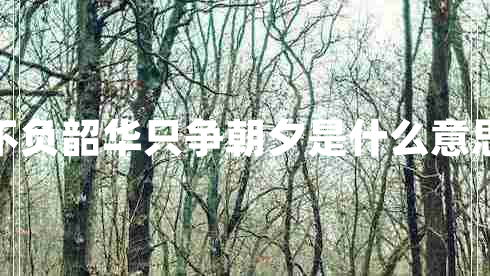 不负韶华只争朝夕是什么意思