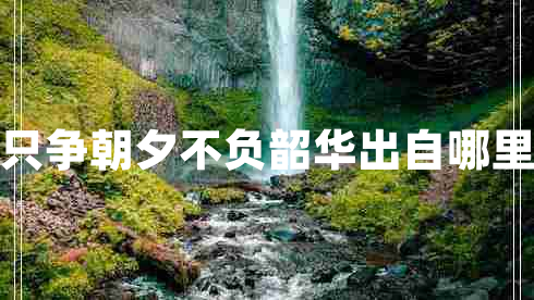 只争朝夕不负韶华出自哪里