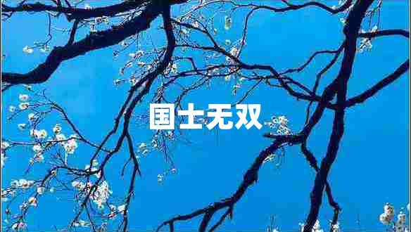 国士无双 国士无双