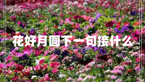花好月圆下一句接什么