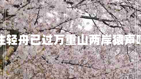 两岸猿声啼不住轻舟已过万重山两岸猿声啼不住的下一句