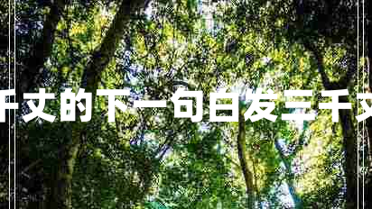 白发三千丈的下一句白发三千丈下一句