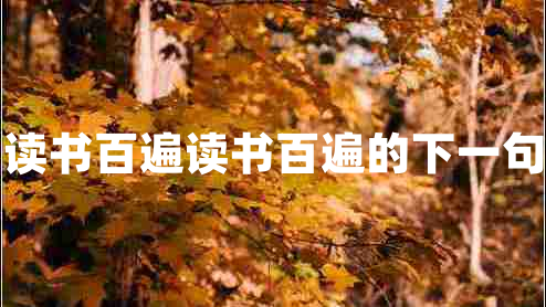 读书百遍读书百遍的下一句