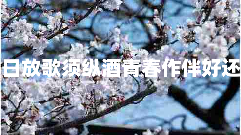 白日放歌须纵酒青春作伴好还乡