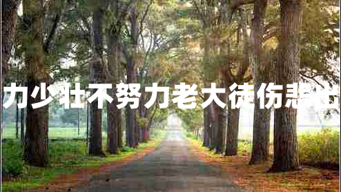 少壮不努力少壮不努力老大徒伤悲出自哪首诗