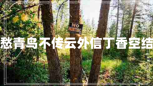 丁香空结雨中愁青鸟不传云外信丁香空结雨中愁的意思