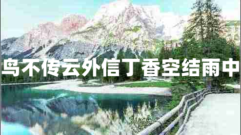青鸟不传云外信丁香空结雨中愁