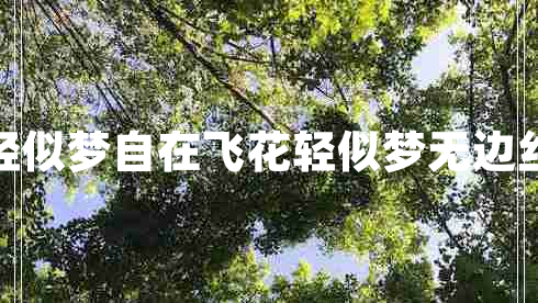 自在飞花轻似梦自在飞花轻似梦无边丝雨细如愁