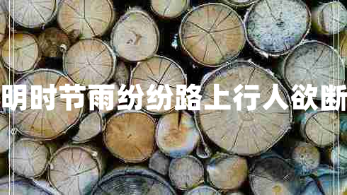 清明时节雨纷纷路上行人欲断魂