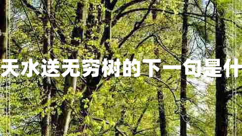 浮天水送无穷树的下一句是什么