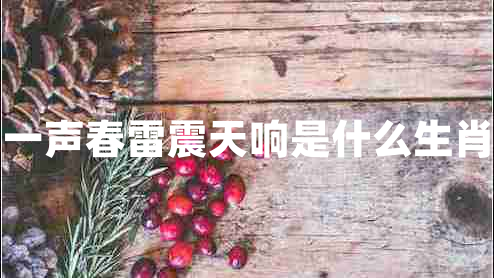 一声春雷震天响是什么生肖