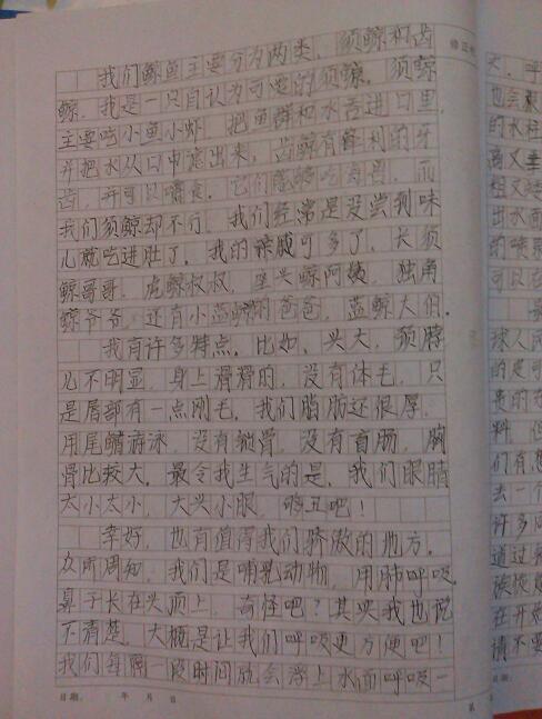 校园快乐的生活作文1000字