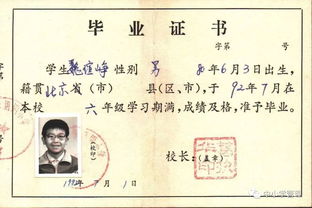 镌刻在校园里的记忆作文