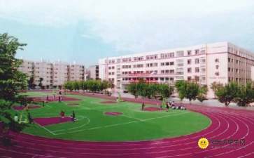 关于校园一角的作文750字