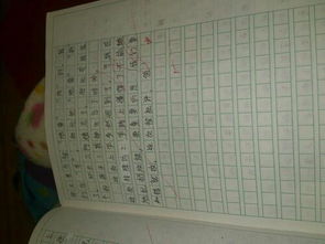 写一篇关于校园卫生的作文400字作文400字作文400字