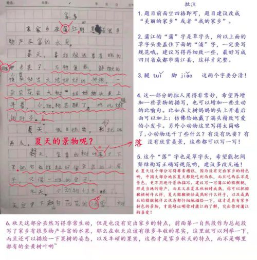我的校园介绍孔子的作文