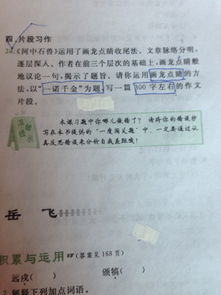 校园里的橡皮树300字作文