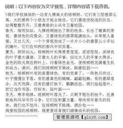 校园的的梧桐树作文